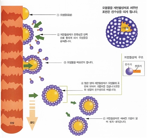 바이오정이 탈피한 계면활성제란 무엇인가? : 네이버 블로그