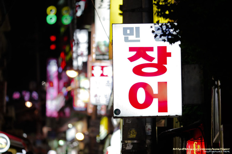 민물장어가보자 이미지