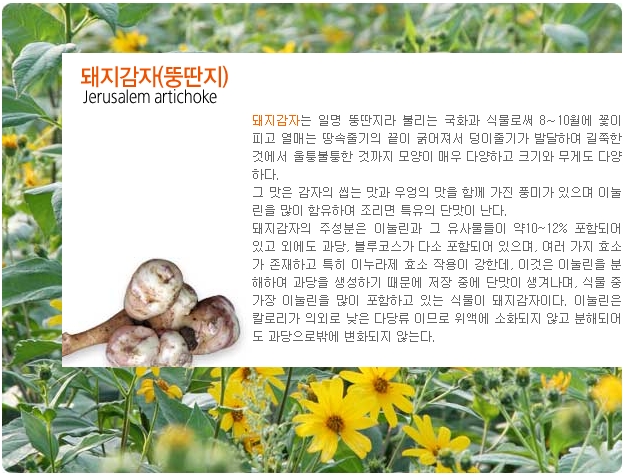 감자마을 이미지
