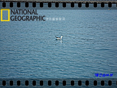 SAM_0779%28%B0%A5%B8%C5%B1%E2%29.JPG?type=w3