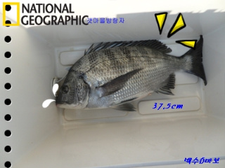 SAM_0780%28%B0%A8%BC%BA%B5%BC%29.JPG?type=w3