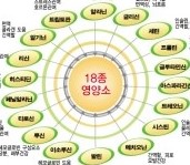 비장 이미지