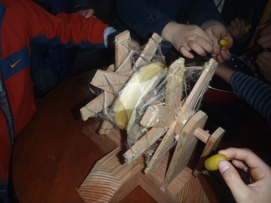 PA280279.JPG?type=w3