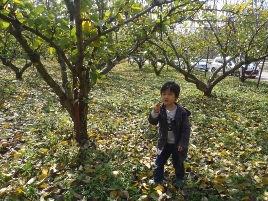 PA280290.JPG?type=w3