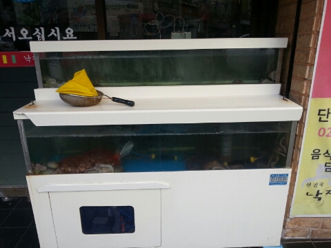 선진국낙지마당 이미지