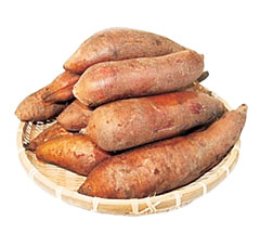 야콘 이미지
