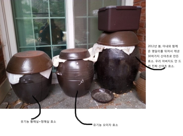 넥시아 이미지