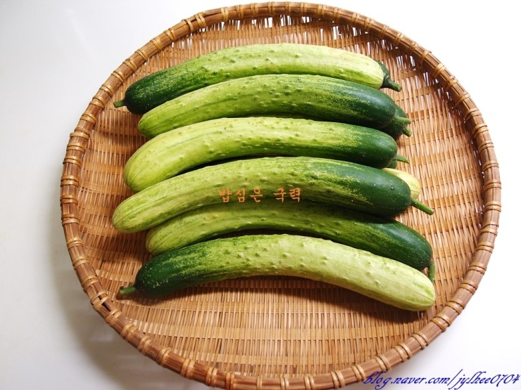 씨오이 이미지