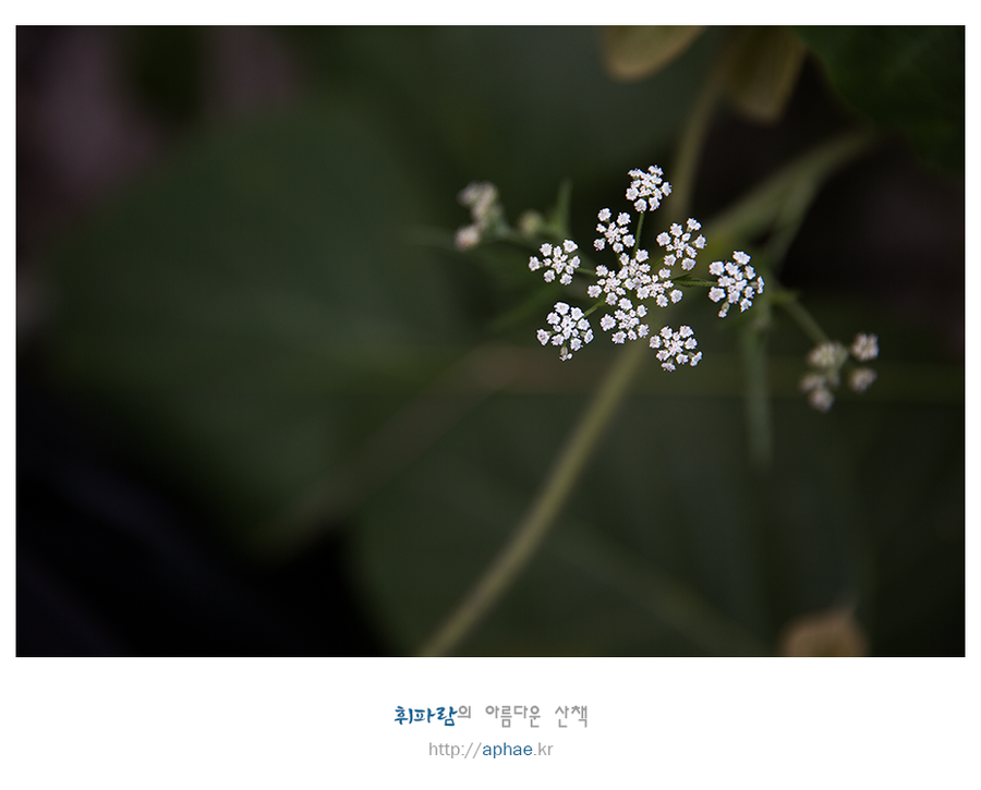 장성JC 이미지