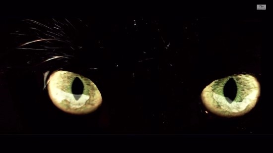 세월호 참사를 비판한 곡이라는 f(x) -Red Light | 인스티즈