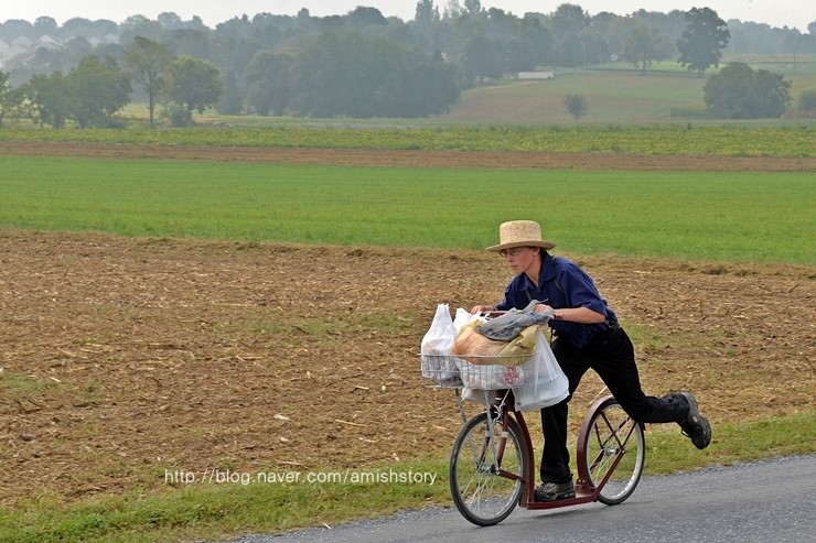 기금모금 경매 행사장으로 가는 길 : 네이버 블로그