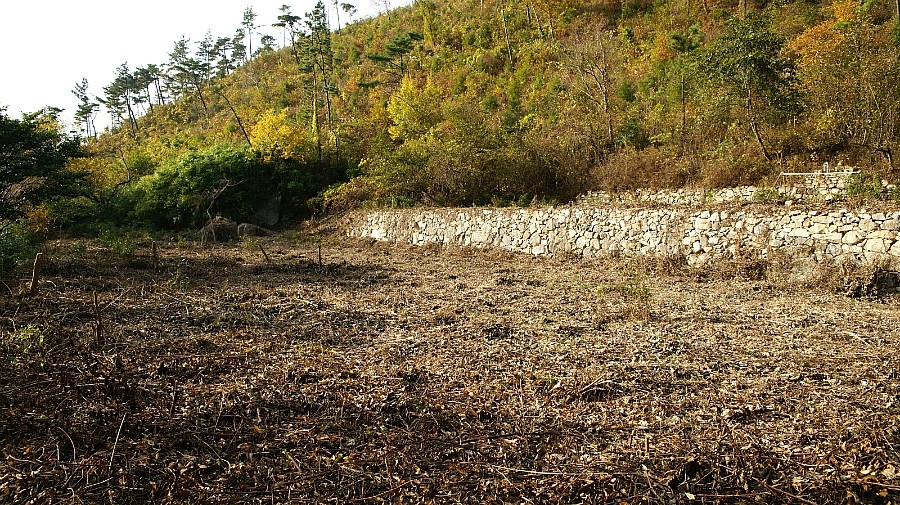 순천 금둔사(金芚寺).... : 네이버 블로그
