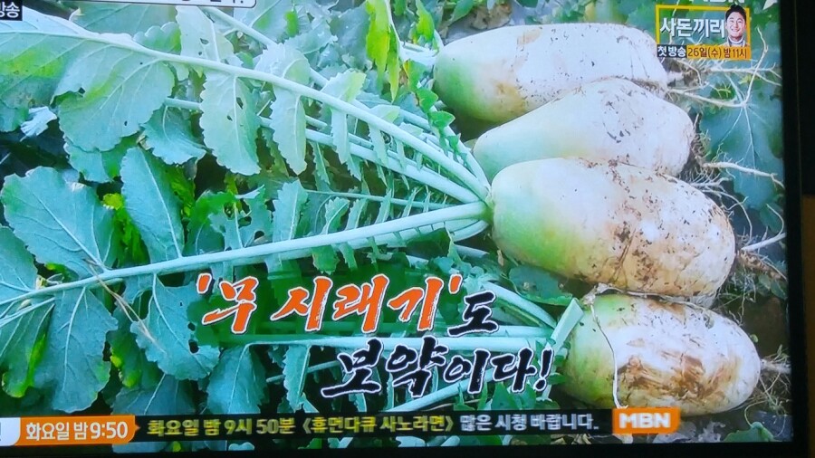 알토란식품 이미지
