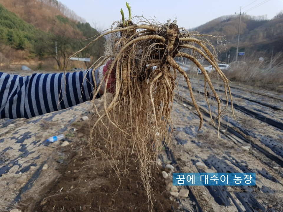 정성슈퍼 이미지