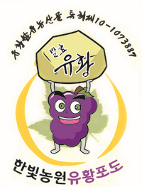 청춘포도 이미지