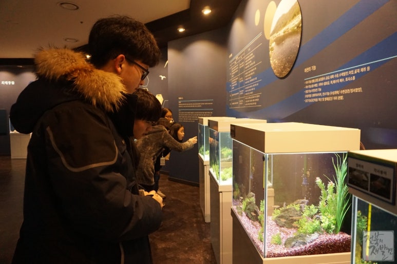 전주신흥중학교 이미지