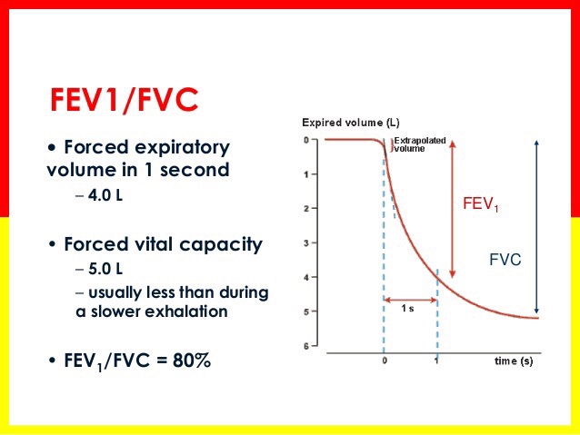 fvc-fev1-100body