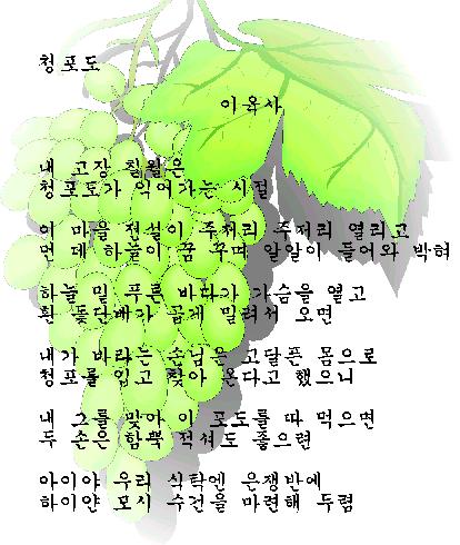 %C3%BB%C6%F7%B5%B5.jpg?type=w3