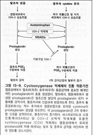 Is Tylenol An Nsaid