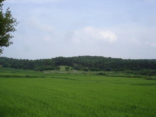 result_2008_6_4_0_45_23_328_21-tklim1.jpg?type=w3